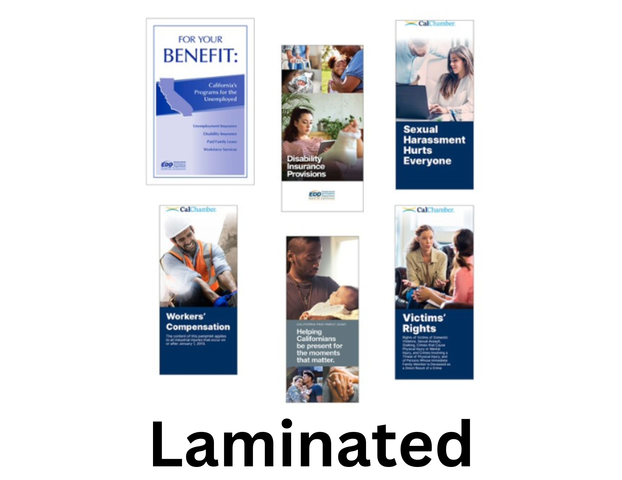 required-notices-kit-laminated-poster-with-20-each-of-all-6-pamphlets